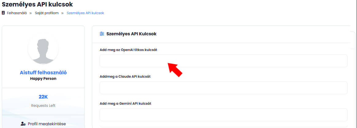 API kulcs m&aacute;sol&aacute;sa m&aacute;sodik l&eacute;p&eacute;s